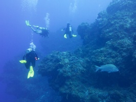Divers IMG 5135